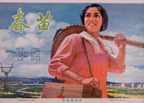 学位证书一栏怎么填